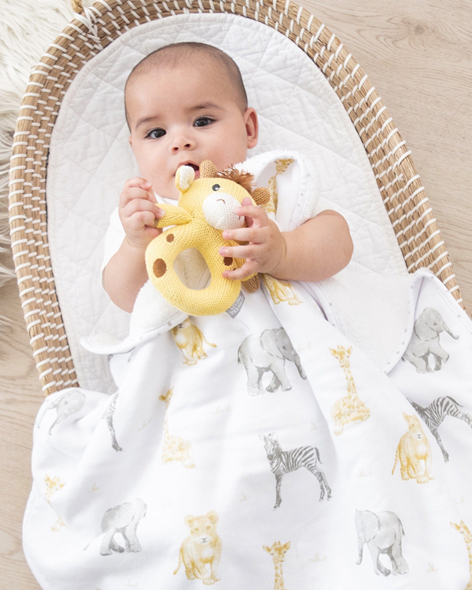 Jersey Sherpa Blanket Savanna Babies
