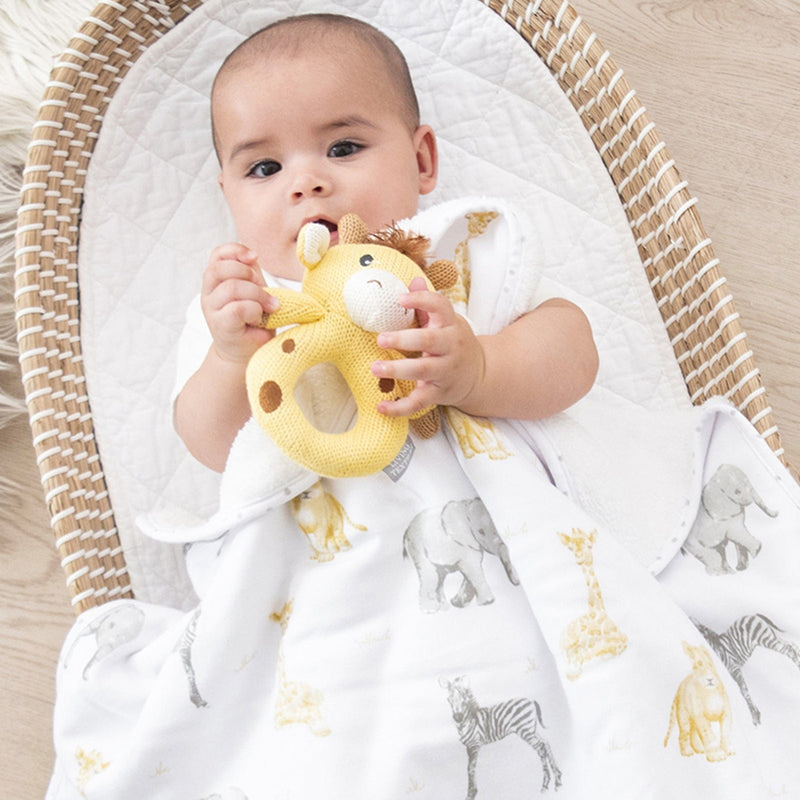 Jersey Sherpa Blanket Savanna Babies