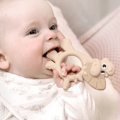 Bibado Teething Toy Dotty the Dinosaur™