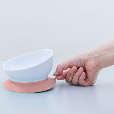 doddl 2-in-1 suction bowl