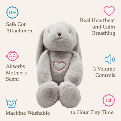 Lulla Doll Sleepy Bunny Bundle