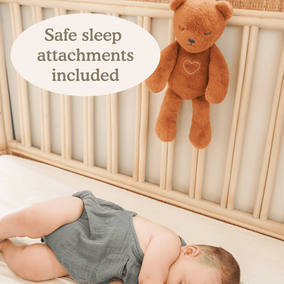 Lulla Doll Sleepy Cub Bundle