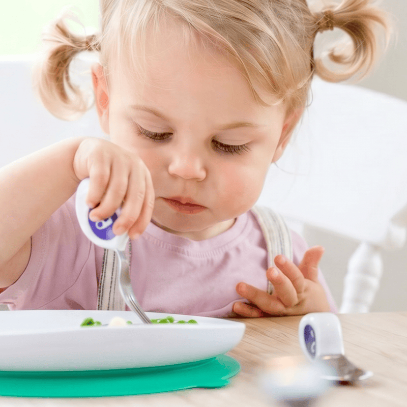 doddl establishing grip 2-in-1 suction plate