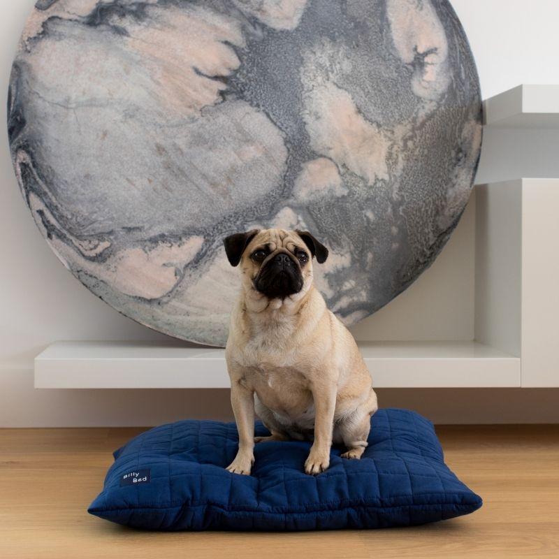 Brolly Sheets Buddy Dog Cover Faux Suade